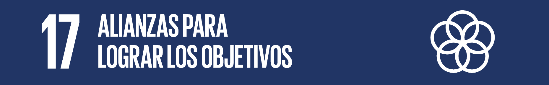 ODS 17
